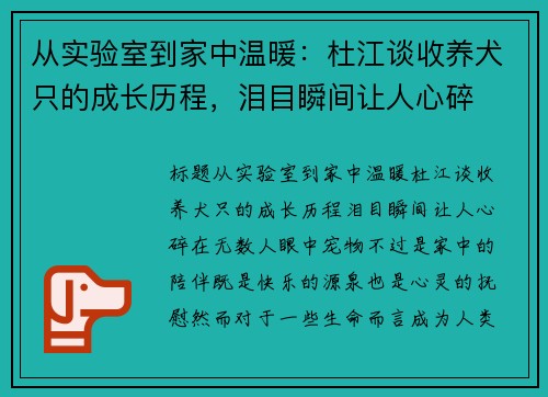 从实验室到家中温暖：杜江谈收养犬只的成长历程，泪目瞬间让人心碎