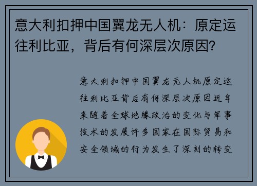 意大利扣押中国翼龙无人机：原定运往利比亚，背后有何深层次原因？